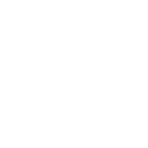Untitled design (3)